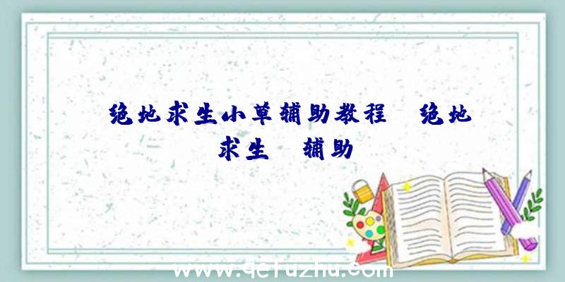 「绝地求生小草辅助教程」|绝地求生pd辅助